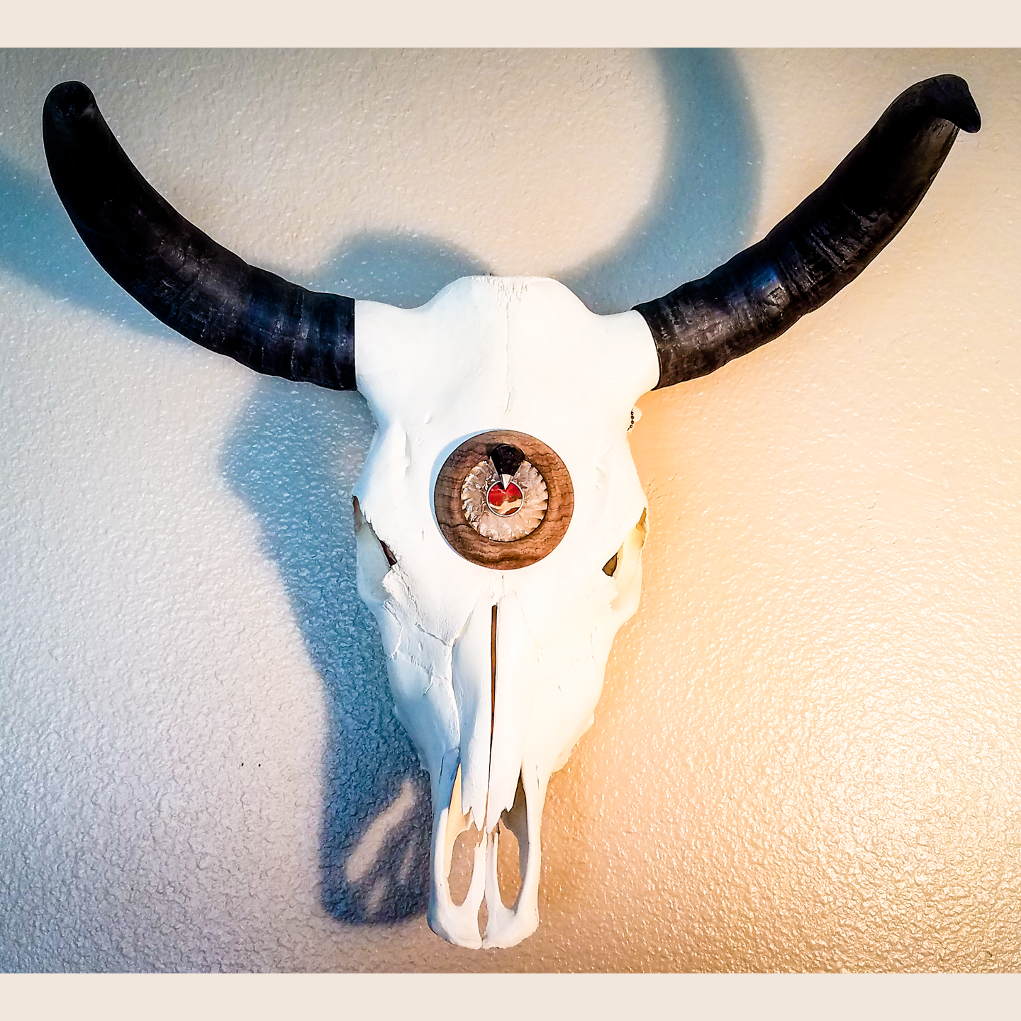 Cow Skull with Wood, Red Jasper, Granite & Flintknapping Glass