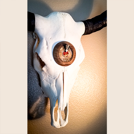 Cow Skull with Wood, Red Jasper, Granite & Flintknapping Glass